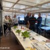 2020 (Woerden) droog